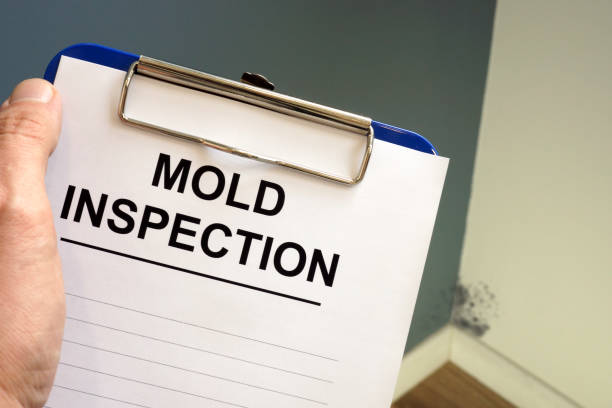 Best Airborne Mold Testing  in Indiana, PA